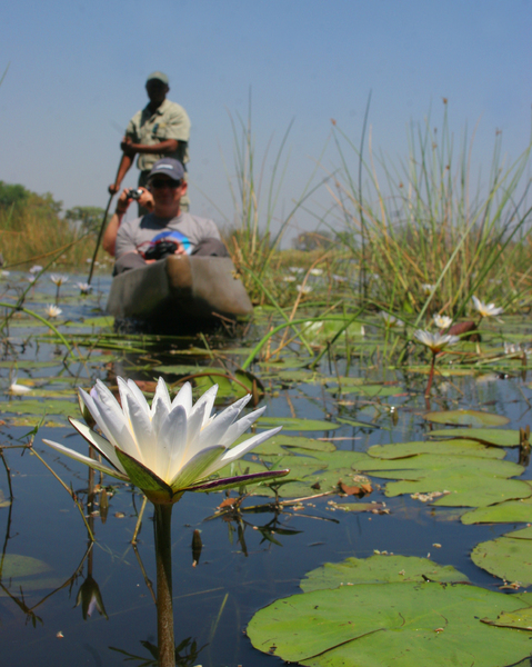 Pom Pom Camp Botswana