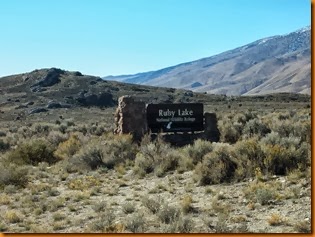 PA219131