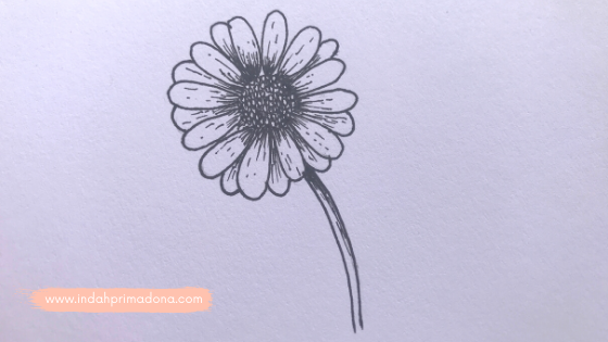 drawing tutorial, cara menggambar bunga daisy, tutorial gambar, gambar bunga daisy, beginner drawing tutorial, gambar untuk pemula, tutorial mudah