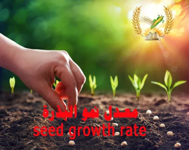 معدل نمو البذرة seed growth rate