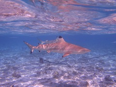 P7150929