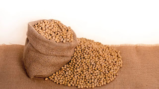 soybean seeds