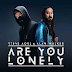 Lirik Lagu Are You Lonely - Alan Walker, Steve Aoki