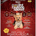 The Doggie Fashion Show of the Year in NYC!
