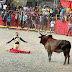 Conoce el estado de salud de los heridos el día de ayer en las corridas de toros en El Seibo