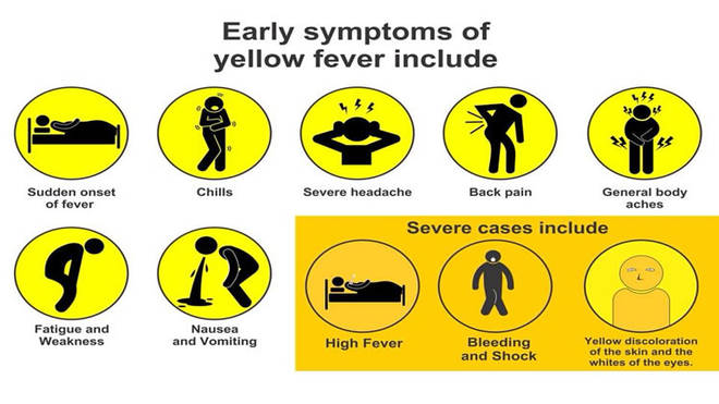 Organização da Saúde da África Ocidental simula surto de febre amarela