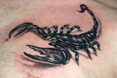 Scorpion Tattoos Design