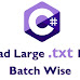 Read large text file batch wise using c#