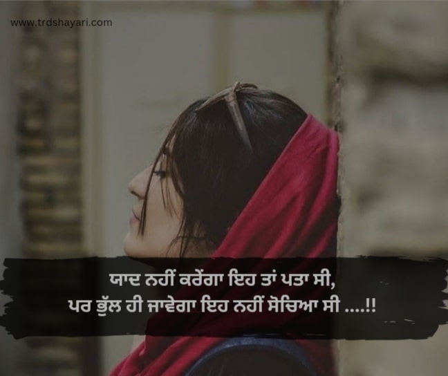 2 line heart touching Punjabi shayari status