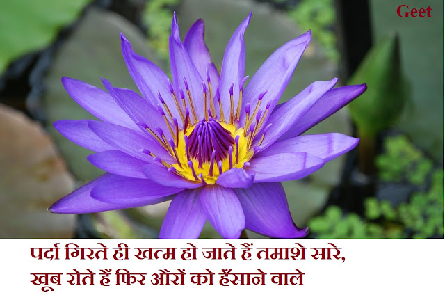 Images Dard Bhari Shayari In Hindi