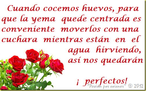 Rosas bien