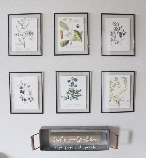 DIY-Framed-Botanical-Prints-with-Free-Botanical-Printables-4