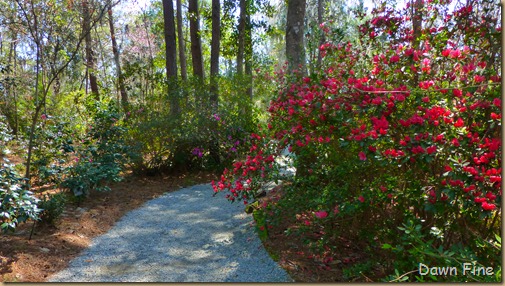 Magnolia Plantation_159