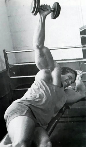 arnold schwarzenegger workout pictures. Arnold Press - 3 sets