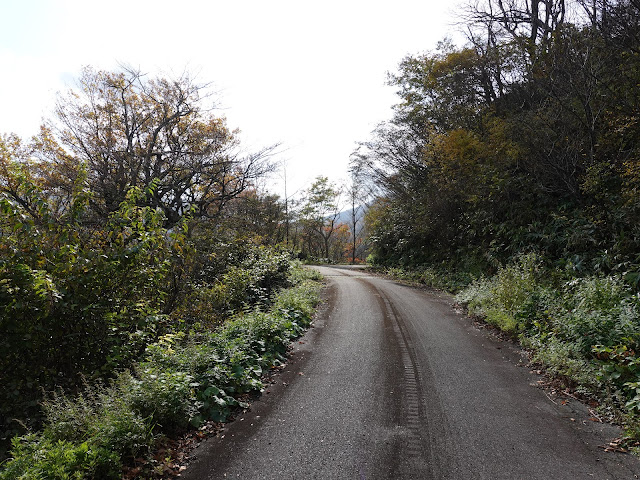 大山の香取の山道