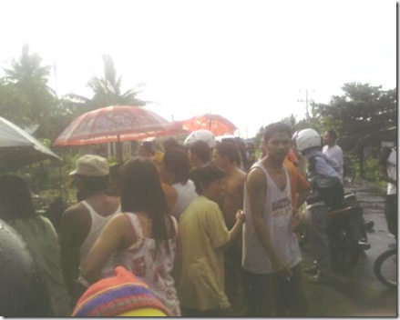 buaya_1