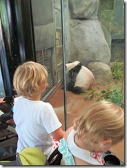 zoo 16 months 024