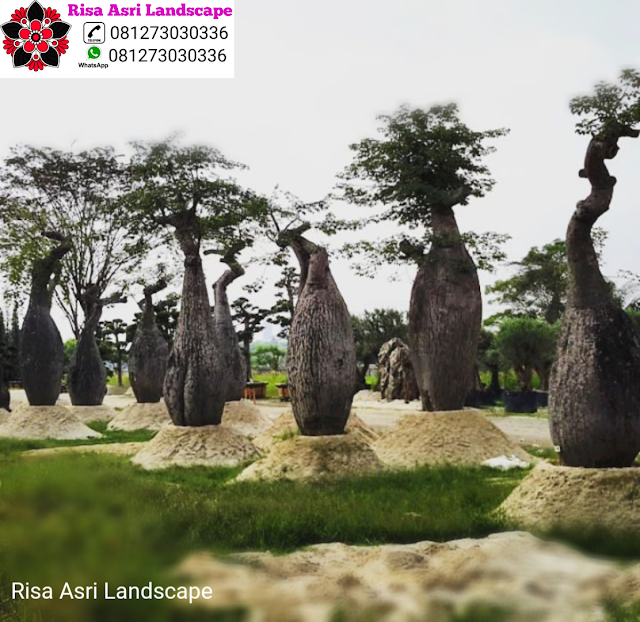 Risa Asri Landscape - Landscape Taman