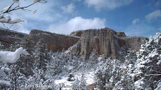 Zion National Park - Beautiful Snow on Peaks and Trees