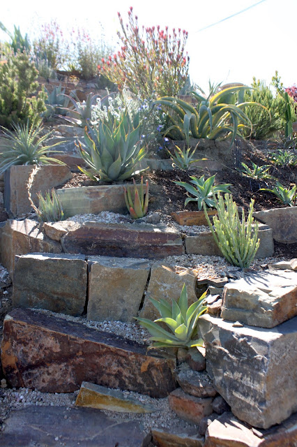 Rock garden roughly a year after planting