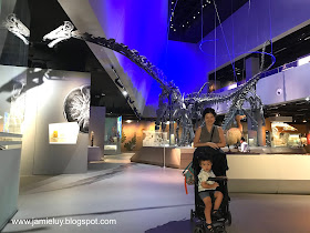 Lee Kong Chian Natural History Museum