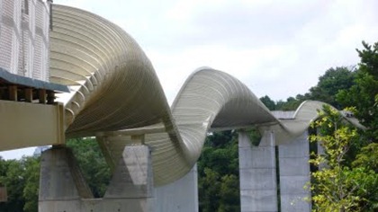 Henderson Waves Bridge4