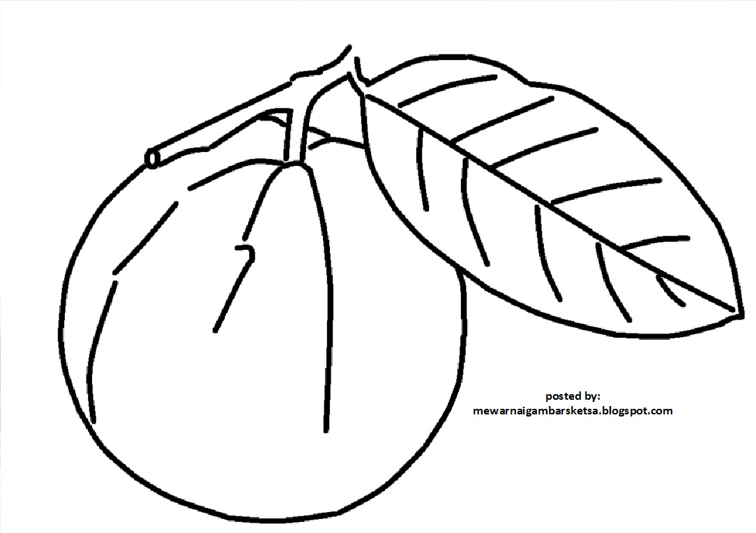 Mewarnai Gambar Mewarnai Gambar Sketsa Buah Jambu 1