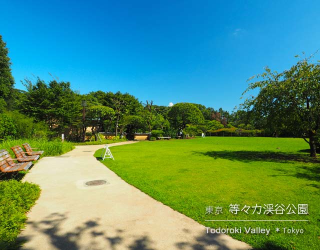 等々力渓谷公園：日本庭園の芝生広場