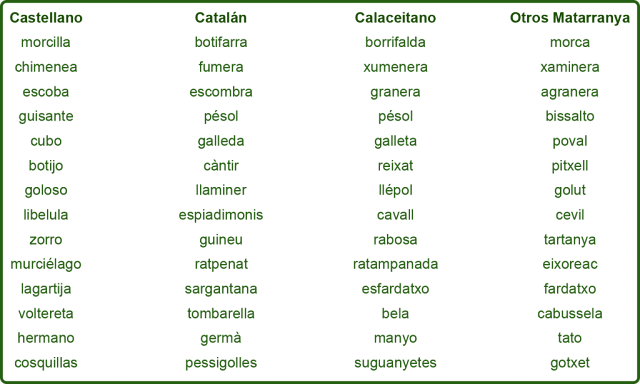 borrifalda, chumenera (no xumenera), granera, pésol, galleta, reixat, llépol,  cavall (caballet de séquia), rabosa, ratampanada, esfardacho, bela, maño, suguañetes - morca, chaminera, agranera, bissalto, poval, pichell, golut, cevil, tartaña, eixoreac, fardacho, cabussela, tato, gochet (La Fresneda)