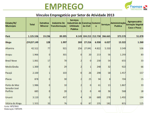 DIAGNÓSTICO SOCIOECONÔMICO E AMBIENTAL DA REGIÃO DE INTEGRAÇÃO XINGU - 2016-2019 – PARÁ - BRASIL