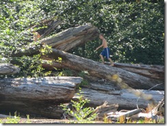 lewis river falls 13