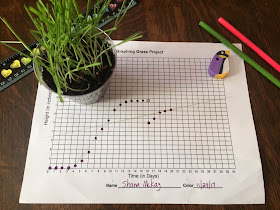 linear equations algebra project Day 20