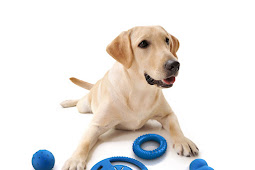 pet dog toy Dog interactive puppy soft toys with walking and barking
electronic