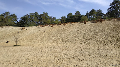 Sablières Châlons-sur-Vesle