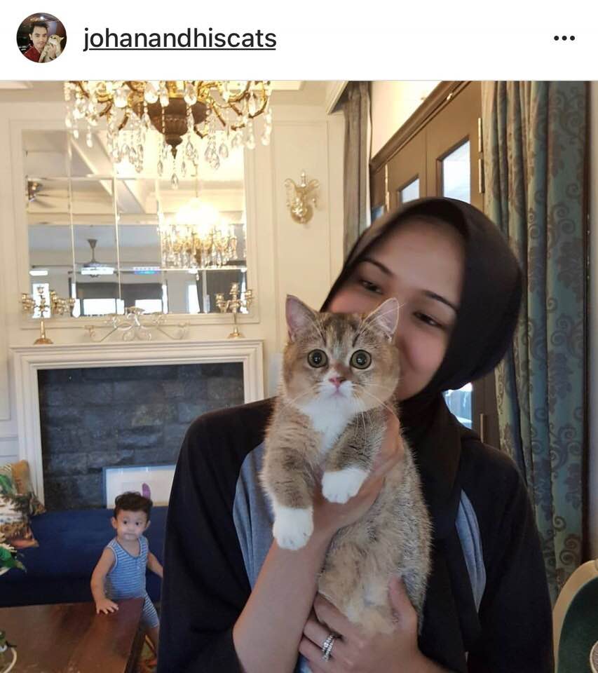 The Masterpiece: Kucing Cantik Kat Mana Nak Beli?