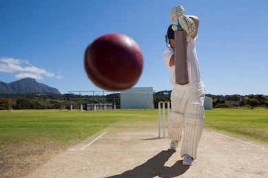 Cricket batting Tips to take you to the top