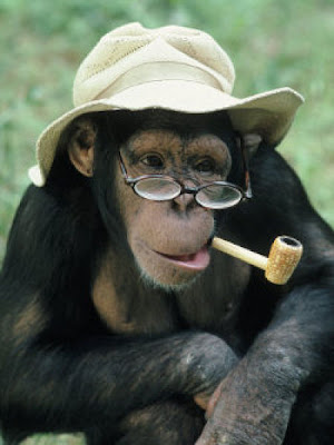 Smoking Monkey Seen On www.coolpicturegallery.us