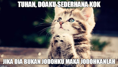 13 Meme 'Kucing' Ini Lucu Banget Bikin Gemes Campur Ngakak