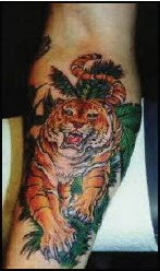 animal tattoos design