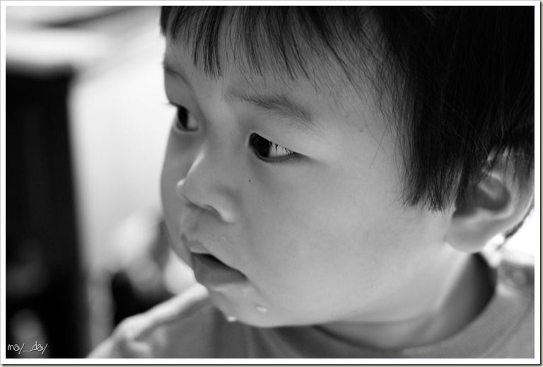 IMG_6862 copy