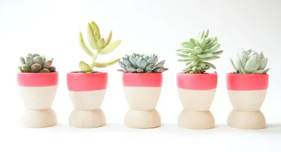 Pot Bunga Unik dan Cantik Untuk Interior Rumah Anda