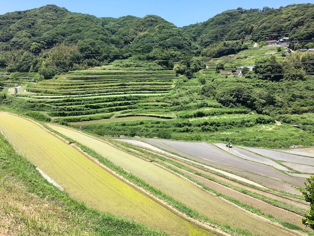 淡路島長沢の棚田