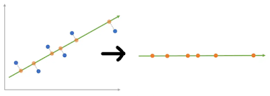 Dimensionality Reduction