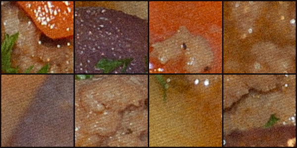 Close up Gastrocam images of Bernoux's stomach irritant
