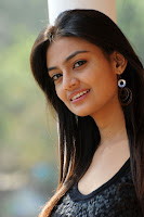 Nikitha Narayan Hot New Photos