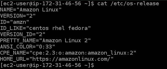 Install Jenkins on Redhat Distribution (Amazon Linux 2)