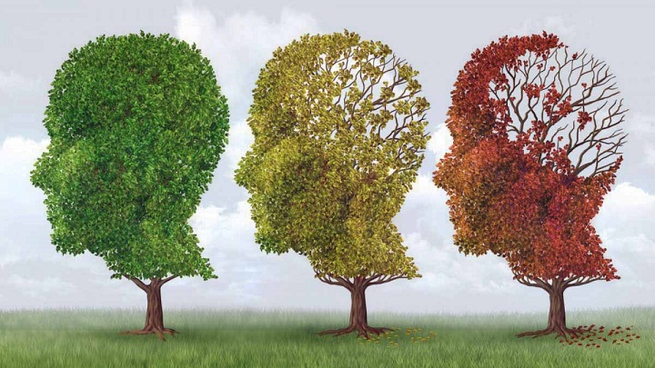 Alzheimer, Penyakit yang Menghancurkan Ingatan