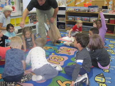 parent showing different kinds of leaves