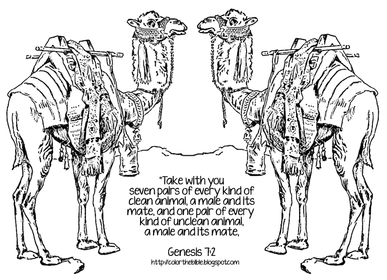 Two Camels for Coloring | Color The Bible