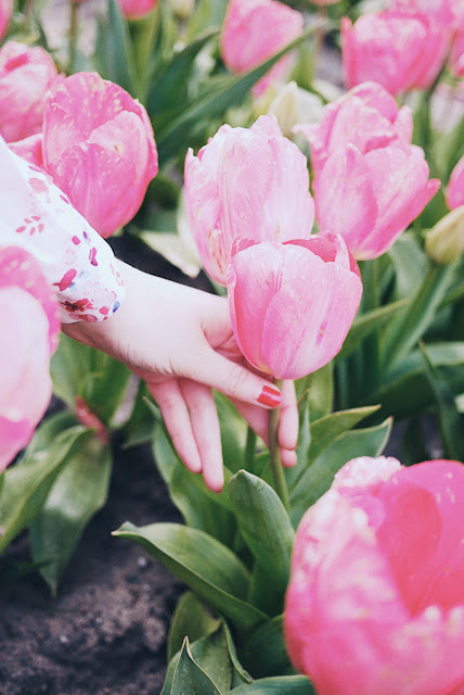 fleurs de la Torche